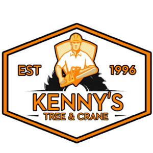 Kenny Logo